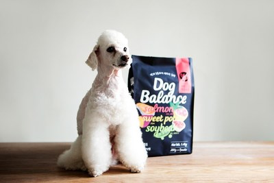 萌宠经济的甜蜜风暴 韩国宠物食品包装设计与宠物销售新趋势