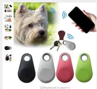 Day11 宠物销售 精准选品与情感化售后邮件营销策略