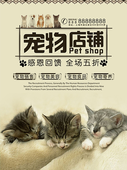 萌宠狗猫的销售之道 打造温馨信赖的宠物家园